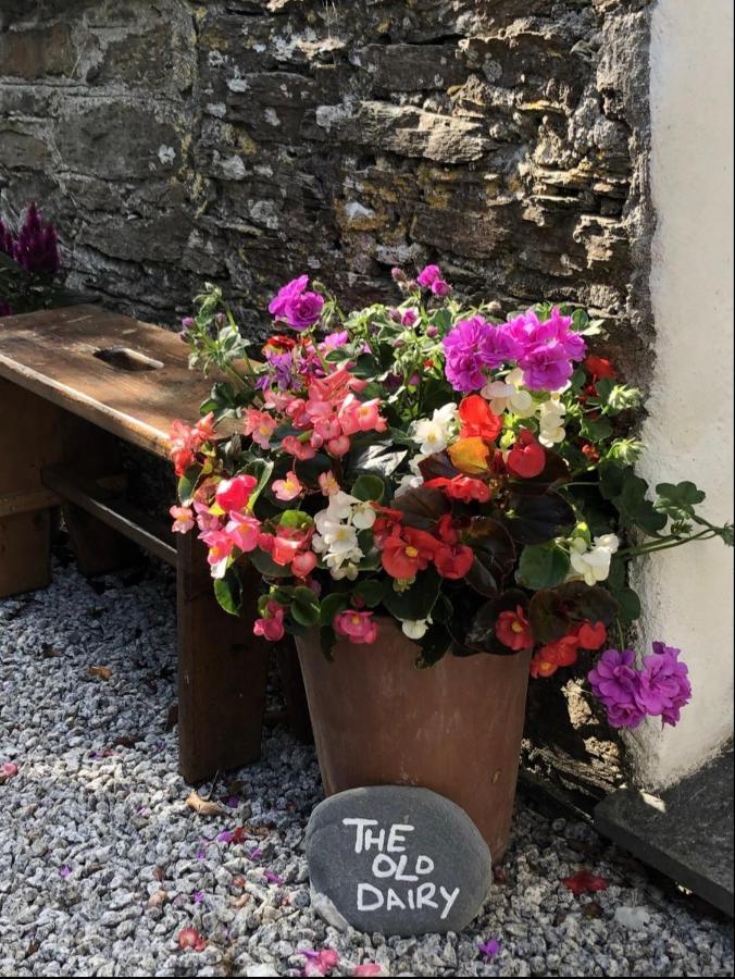 The Old Dairy Retreat Villa St Austell Exteriör bild